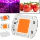 Led COB Chip Full Spectrum, 30W, 220V