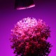 Ampolleta Grow Led 28W Full Spectrum Cultivo Indoor