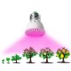 Ampolleta E27 Growing Led Spectrum Cultivo Indoor 