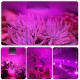 Ampolleta E27 Growing Led Spectrum Cultivo Indoor 