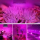 Ampolleta Grow Led 8W Full Spectrum Cultivo Indoor
