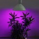 Ampolleta E27 Grow 200 Led Full Spectrum Cultivo Indoor