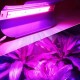 Panel Reflector Full Espectro Cultivo Indoor 50W Grow, Cob Led