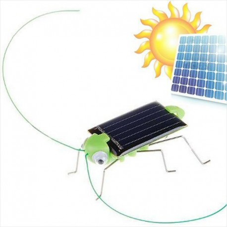Saltamontes Solar - Se Mueve Rapido y Hace Mucho Ruido