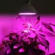 Ampolleta E27 Grow 200 Led Cultivo Con Base de Anclaje