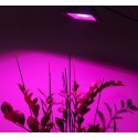 Proyectores Led Grow