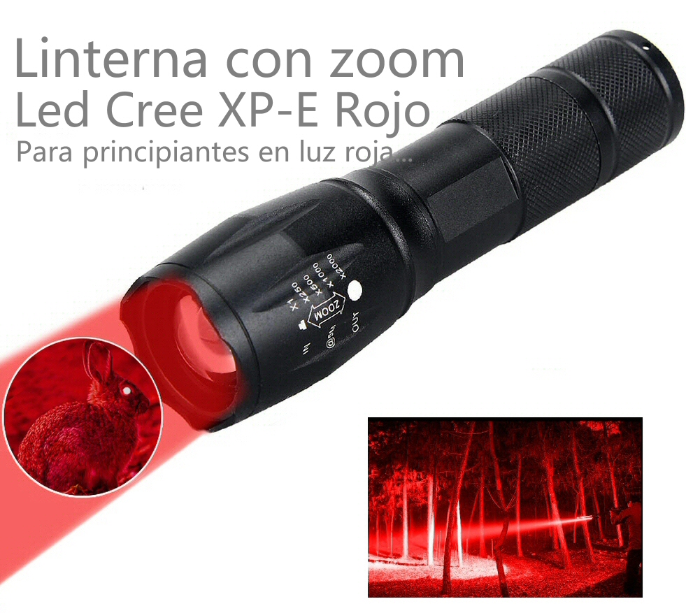 zoom-led-rojo.jpg